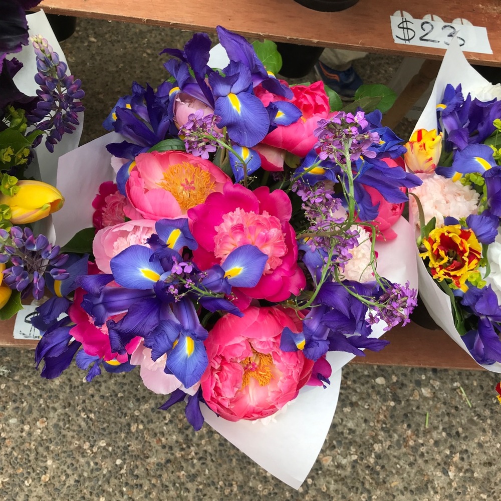 Meet your Posher, Zachary